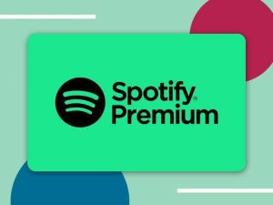 Spotify Premium 最终解锁版-浩哥小屋